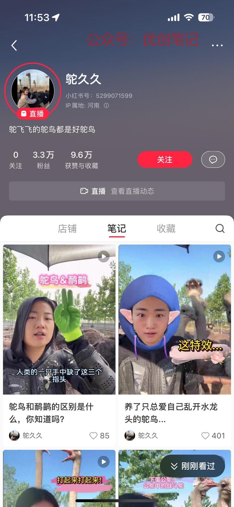 小红书：稀有动物吸睛…#情报-搞钱线报📢论坛-网创交流-优创圈